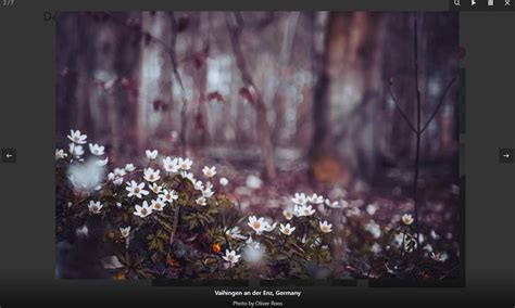 Image result for Best jQuery