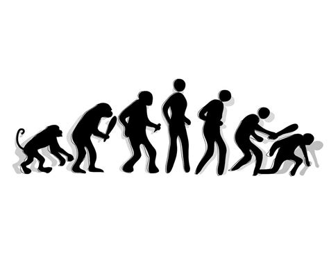 Funny Human Evolution Chart 的图像结果