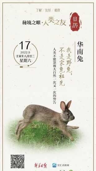 秘境之眼·人類之友 日曆｜華南兔：我是野兔，不是家兔祖先