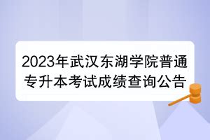 2023年武汉东湖学院普通专升本考试成绩查询公告_湖北自考网