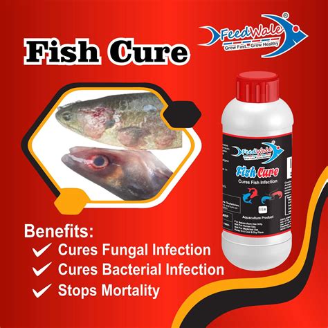 BKC 80% For Aquaculture FeedWale Fish Cure (1 Litre) - ProductWale