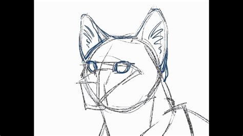 Image result for How to Draw a Cat Tutorial