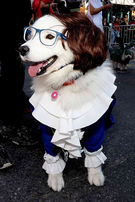 See the Cute Dogs in Costume from New York City's Halloween Dog Parade