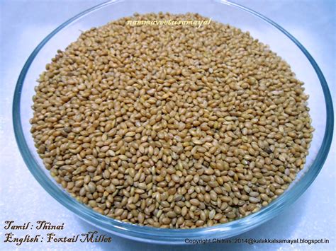 kalakkalsamayal: Foxtail Millet - Thinai