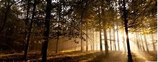 Forest Dual Monitor Wallpaper by Forest Dual Screen Wallpapers Top Free Forest Dual Forest Dual Monitor Wallpaper