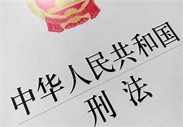 Image result for penal code 刑法典