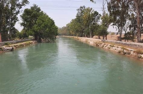 भाखड़ा नहर में मिला 4 दिन से लापता टैक्सी चालक का शव, जांच में जुटी ...