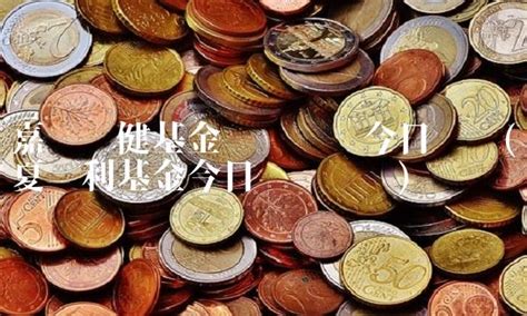 华夏红利基金怎么样 - 基金百科 - 微微金融网