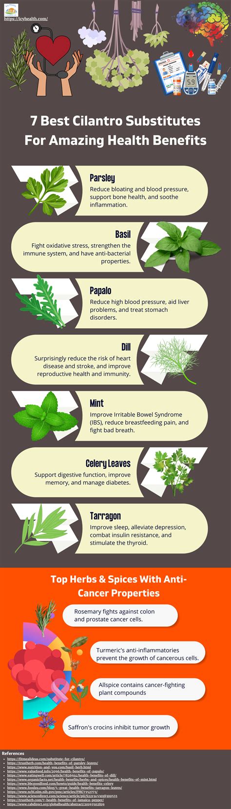 10 Amazing Benefits Of Cilantro
