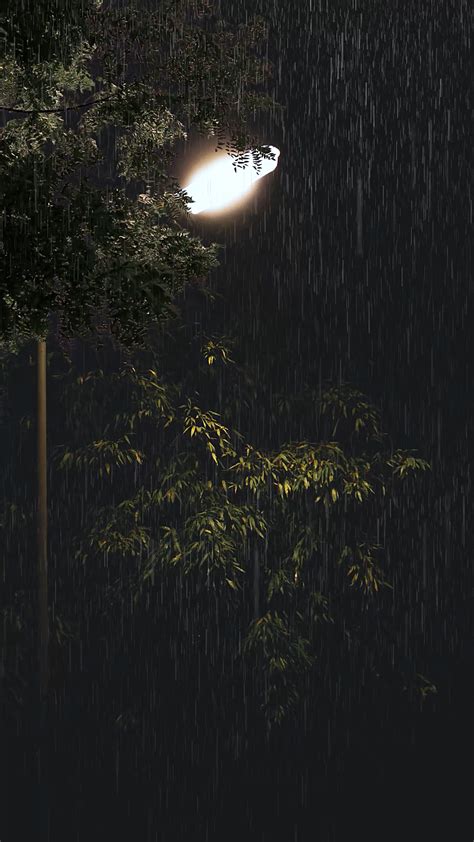 夜雨(游戏静态壁纸) - 静态壁纸下载 - 元气壁纸