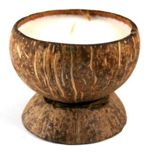 Image result for Craft Using Coconut Shell