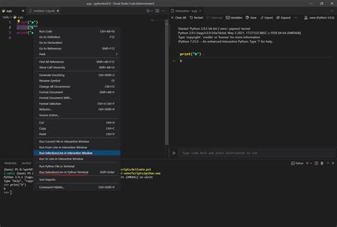 Image result for vs Code Python Command Window