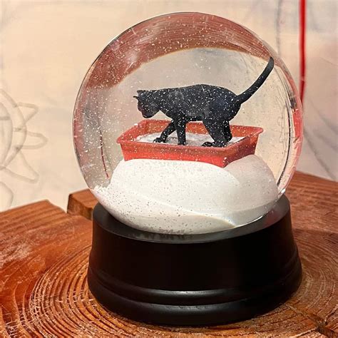 Snow Globe 的图像结果
