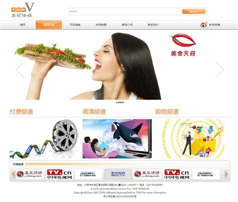 鼎视传媒网站建设设计,上海网站制作设计,上海集团网站建设-海淘科技