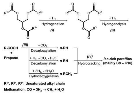 An Intensified Reactive Separation Process for Bio-Jet Diesel Production