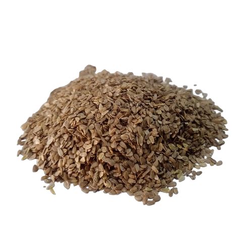 Winter Flower Seeds Online in India | Buy Winter Flower Seed @ Best ...
