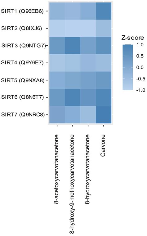 Synthesis of Carvone Derivatives and In Silico and In Vitro Screening ...