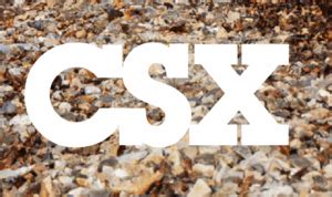 Image result for CSX Payroll
