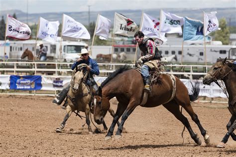 Free Images : man, horse, action, usa, dust, ride, outdoors, competition, arena, saddle, cowboys ...