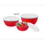 Buy Segovia Stainless Steel Microwave Safe Bowl Set With Lid - Mixing ...