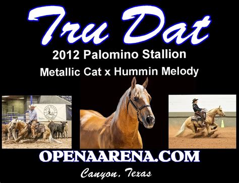 Tru Dat — Timber Creek Veterinary Hospital