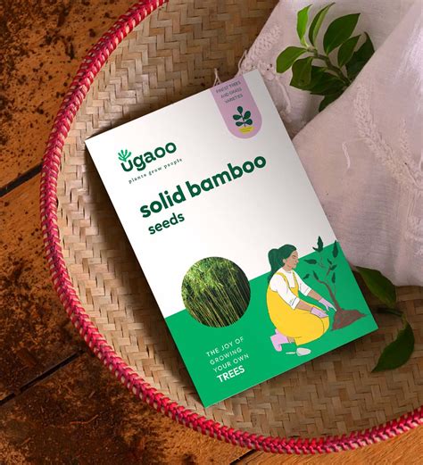 Solid Bamboo Seeds (Dendrocalamus Strictus) - 100 g – Ugaoo