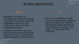 Circular Restriction Mapping 的图像结果