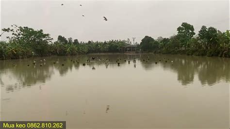 AMBIL SEKARANG