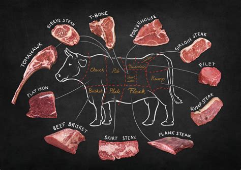 Beef Cuts Chart — Good Carnivore