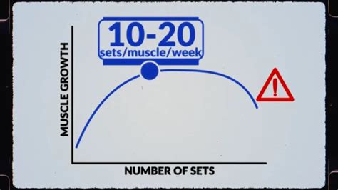 Image result for How Many Set per Muscle Group per Week