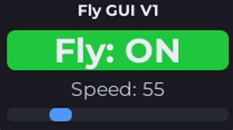 Image result for Fly Script GUI
