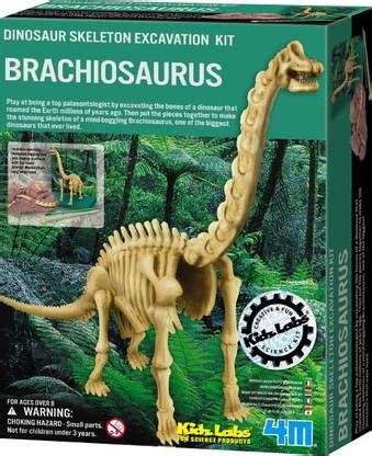4M Kidz Labs-Brachiosaurus Skeleton Excavation Kit Price in India - Buy ...