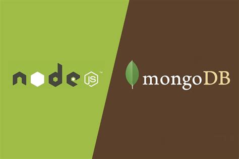 Image result for JavaScript MongoDB