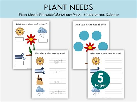 Plant Needs Printable Worksheet Pack | What Plants Need to Grow Activi ...
