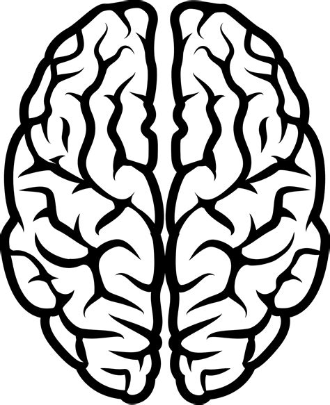 Clipart Brain Images