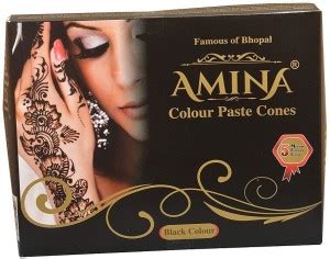 Amina Henna Instant Tatto No Chemicals Dyes Natural Mehendi Price in ...