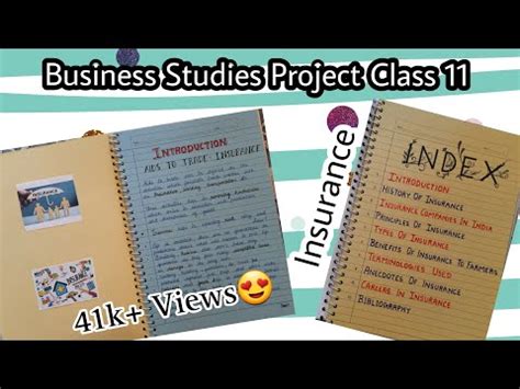 Insurance Project Class 11 的图像结果