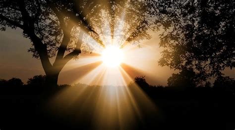 Image result for Tomorrow Is Spring