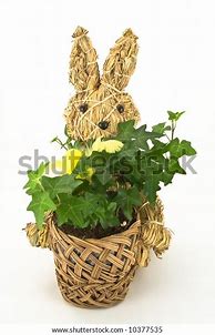 Image result for Easter Bunny Holding Basket