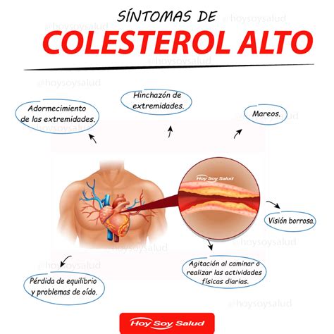 Sintomas De Colesterol Alto