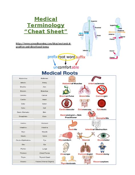 Spanish Medical Terminology