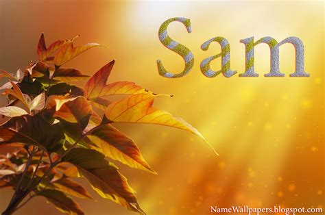 Sam Name Wallpapers Sam ~ Name Wallpaper Urdu Name Meaning Name Images ...