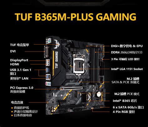Mainboard ASUS TUF B365M-PLUS GAMING (Intel B365/Socket 1151-v2/mATX/4 ...