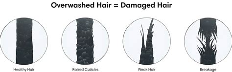 The Earth Collective Co-Wash for Curly Hair