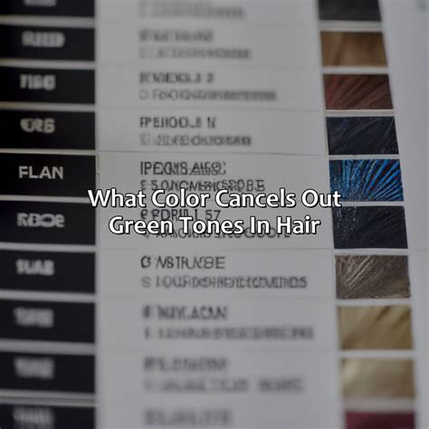 What Color Are Mice - colorscombo.com