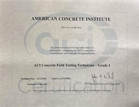 ACI Testing 的图像结果