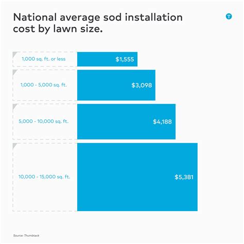 2025 Sod Installation Cost | Expert Tips & Ways to Save