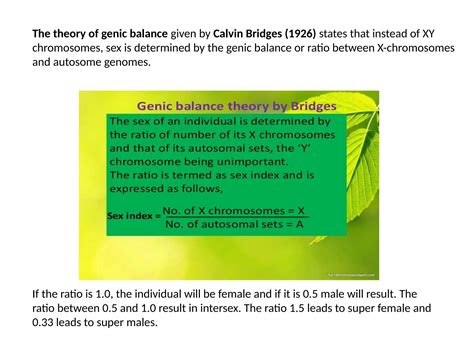 4b_Sex linked inheritance and characters.pptx - ratio of x chromosomes and autosomes