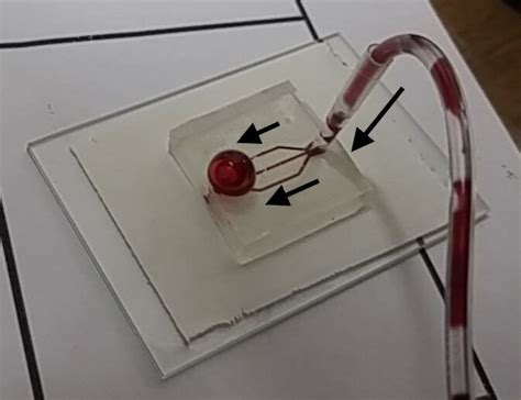 Image result for Flow Visualization Applications