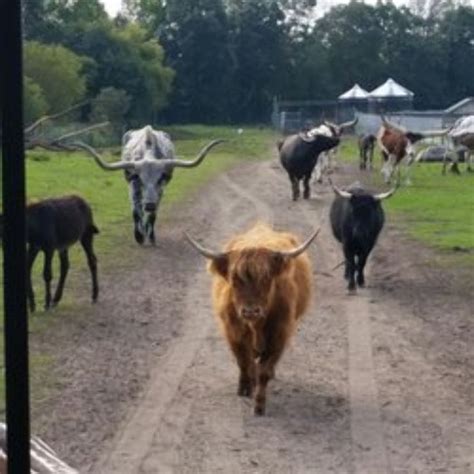 Dutch Creek Farm Animal Park, indiana, United States Of America - Top ...